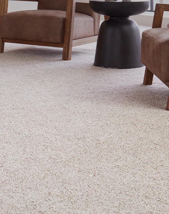 Soft neutral carpet in a living room