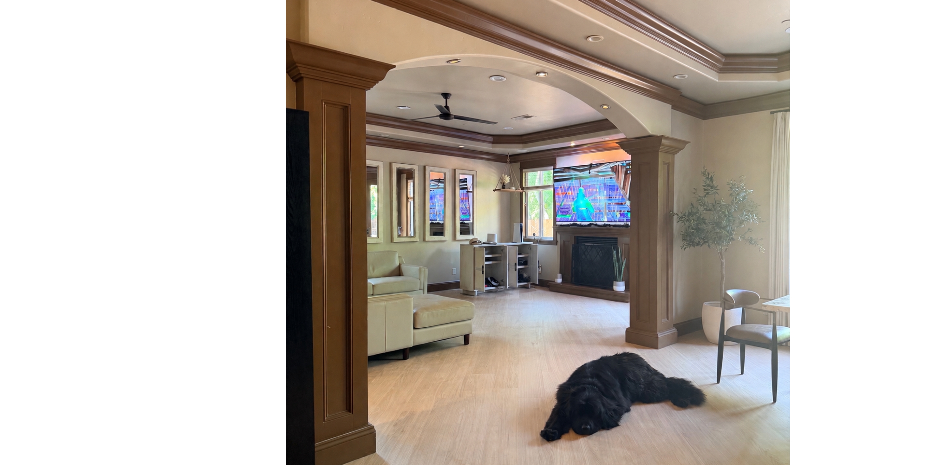 Wood-look floors in an open living room with a dog resting