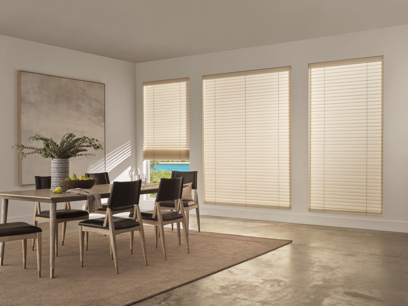 Hunter Douglas Aria Soft Blinds in a dining room