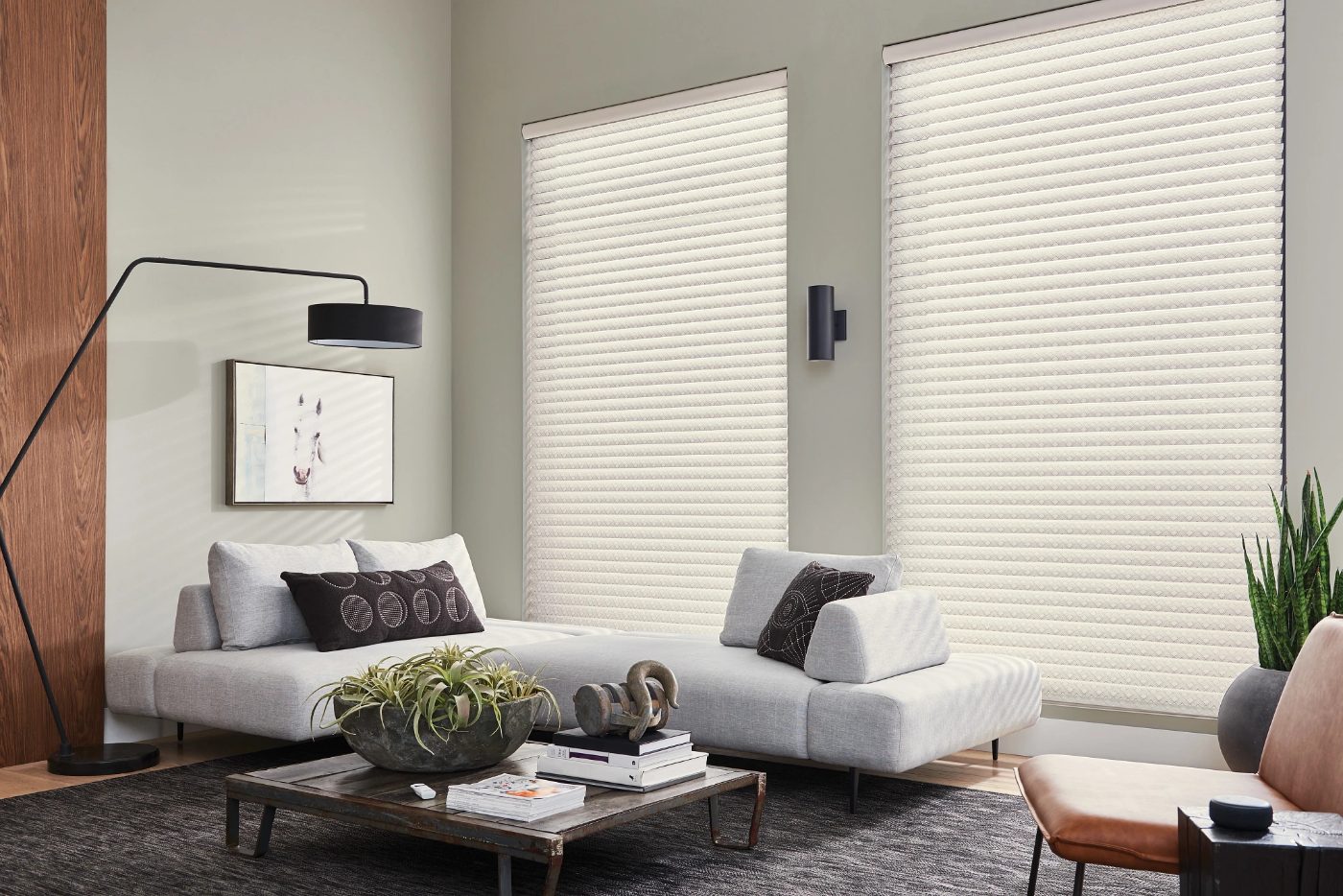 Graber sheer shades with motorized lift in a living room
