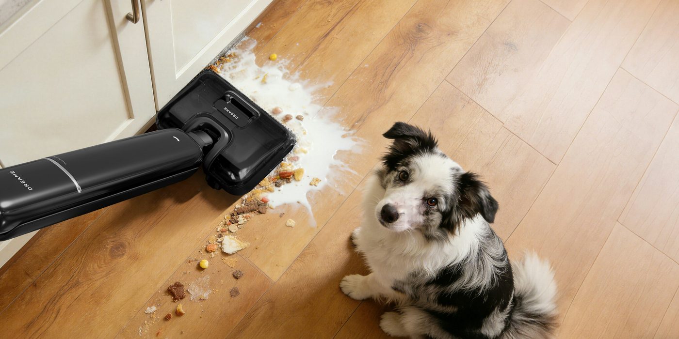 Dog watching a vacuum clean up a spill on a wood-look floor