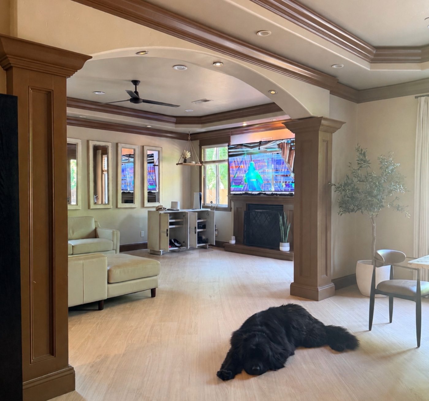 Dog relaxing on light wood-look luxury vinyl plank in a family room