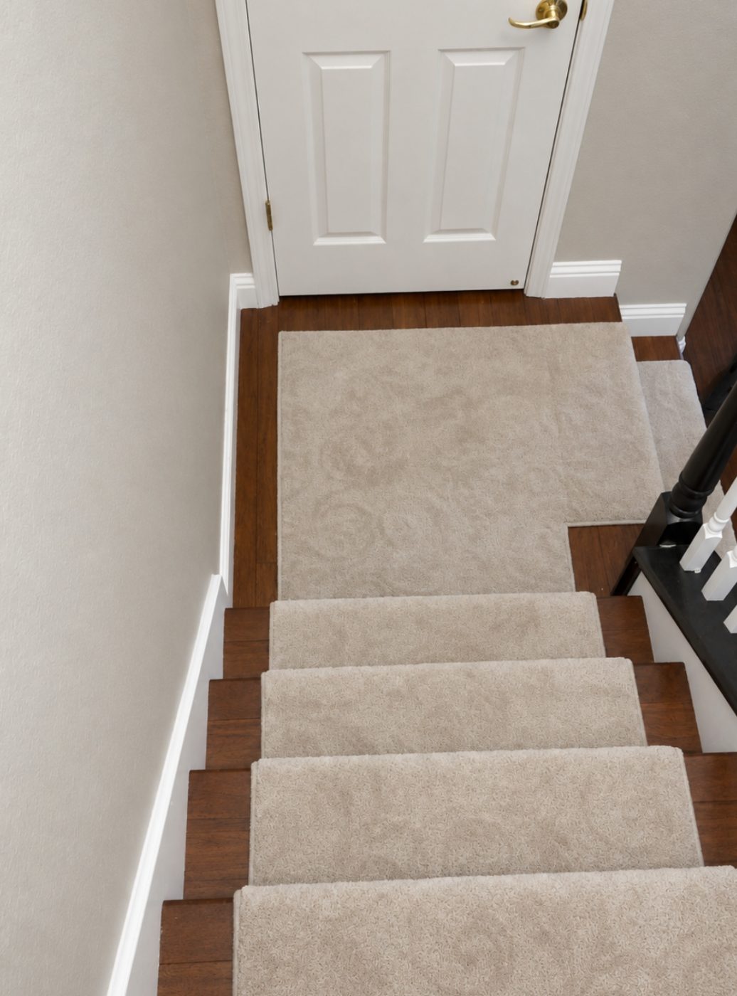 Carpeted staircase with wood edges